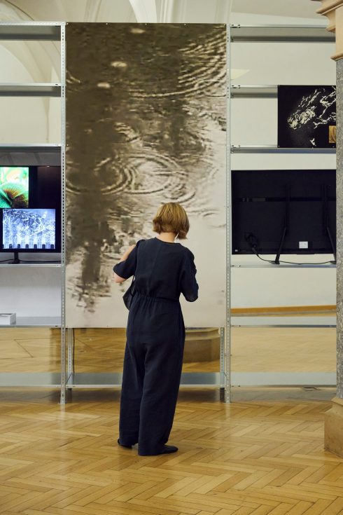 Besucherin vor medialer Installation.